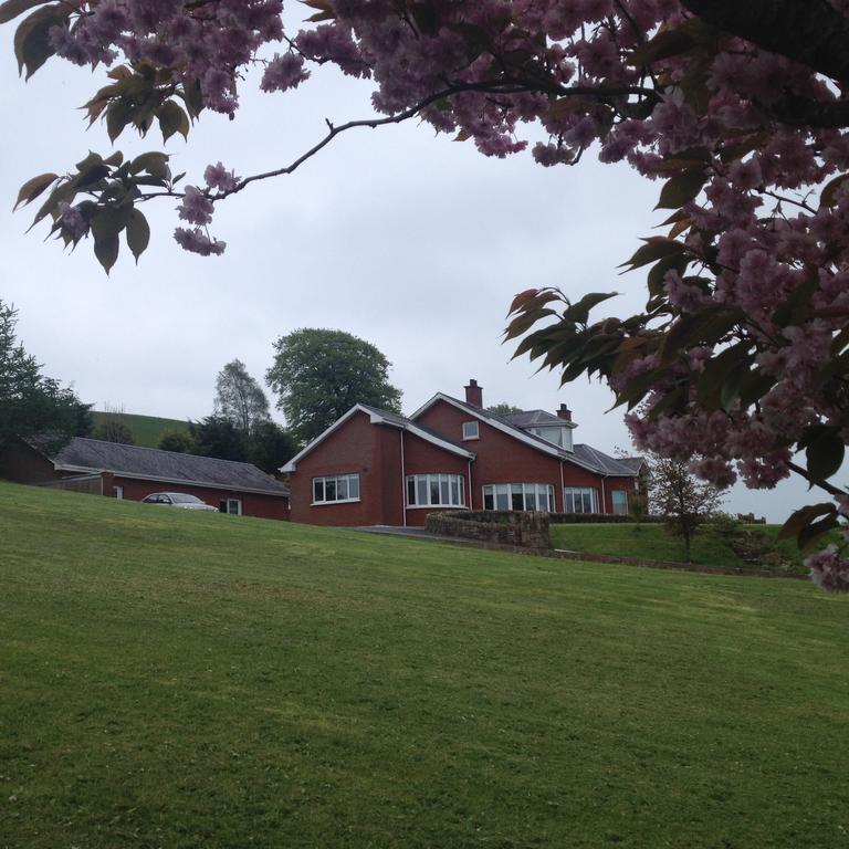 White Hill Country House B&B Castleblayney Eksteriør bilde